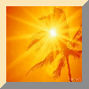 AKTUEEL NIEUWS EN NIEUW WERK/ACTUAL NEWS AND NEW ITEMS