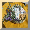 KRUIDEN/HERBS